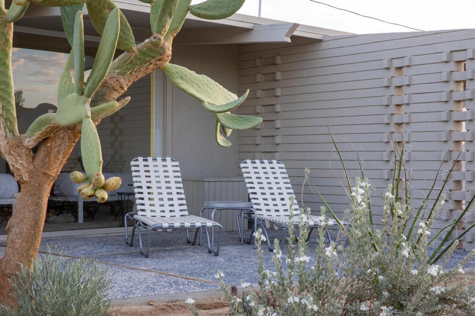 ג'ושואה טרי The Bungalows By Homestead Modern חדר תמונה